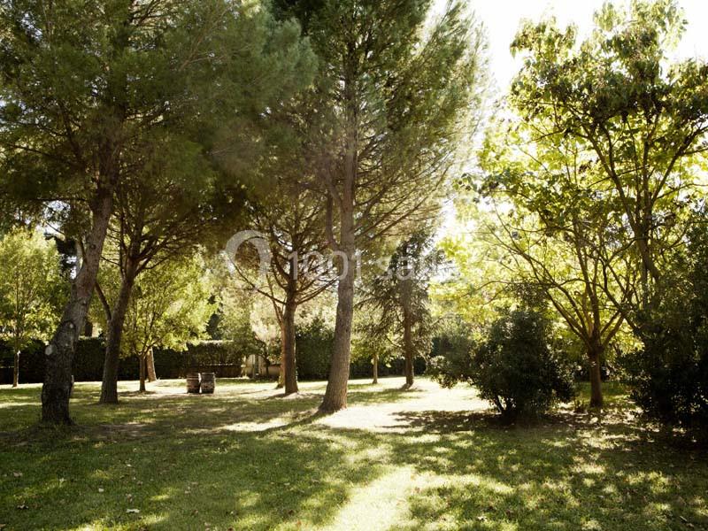 Eurotel - Domaine Du Petit Malherbes - galerie - photo 7