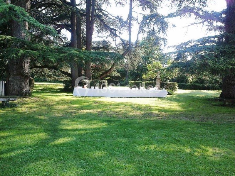 Table dressée sous de grands arbres dans un jardin verdoyant, éclairée par la lumière naturelle.