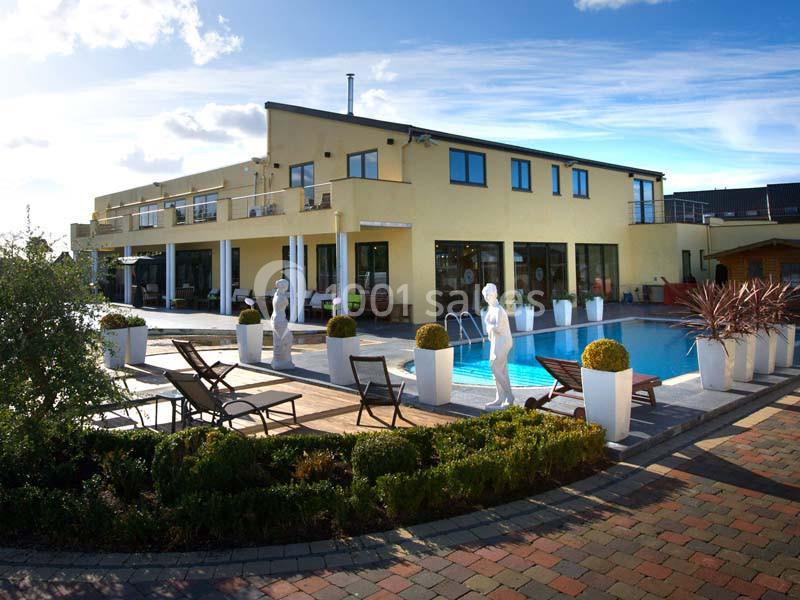 Grande maison moderne avec piscine, terrasse aménagée, chaises longues et statues décoratives, sous un ciel dégagé.