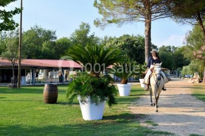 Manade Boch - photo 4