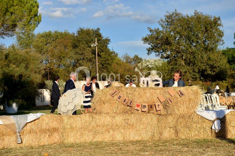 Manade Boch - galerie - photo 14