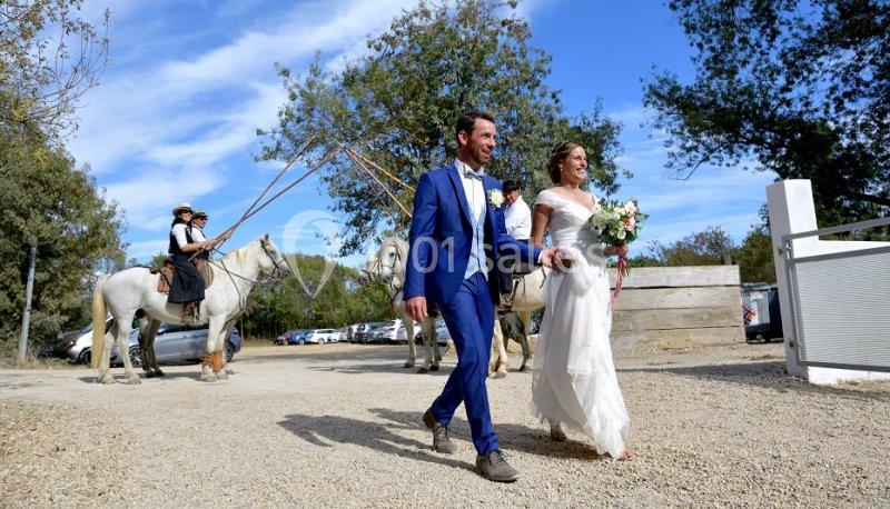 Manade Boch - galerie - photo 11