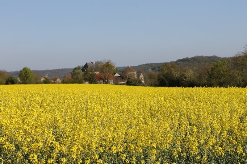 Ferme de la Haute Maison - photo 4