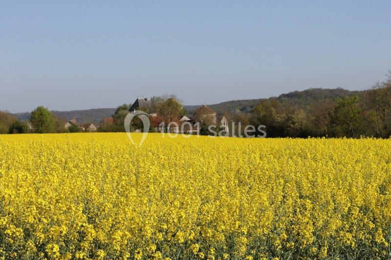 Ferme de la Haute Maison - galerie - photo 4