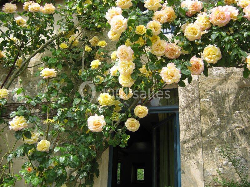 Ferme de la Haute Maison - galerie - photo 21