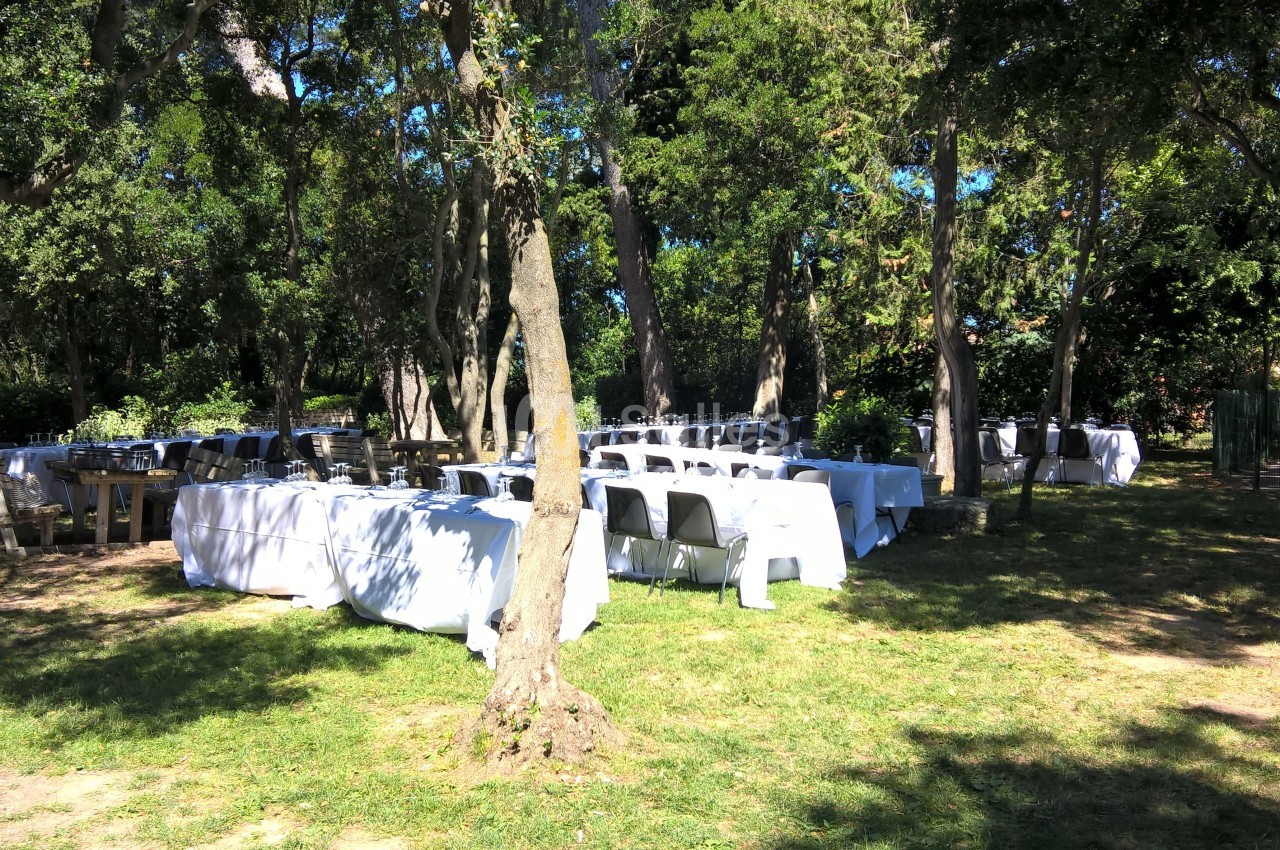 Tables dressées avec nappes blanches disposées en extérieur sous des arbres, dans un cadre ombragé et verdoyant.