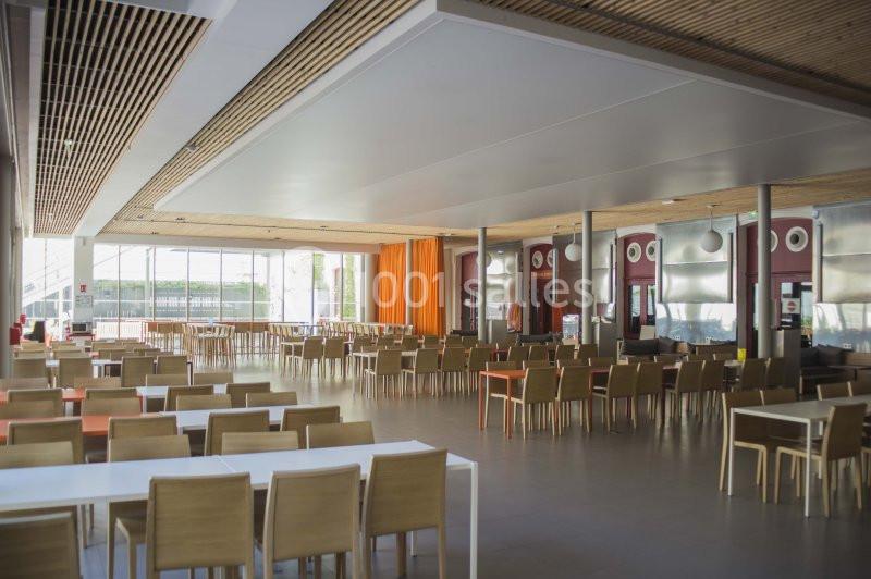 Salle de restauration spacieuse avec des tables et chaises en bois, éclairée par de grandes baies vitrées.