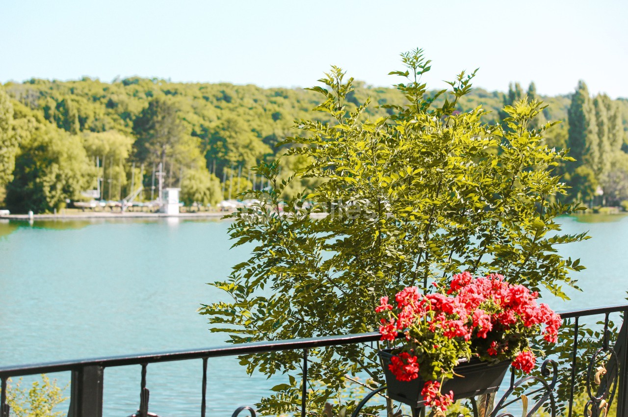 Plante en pot avec des fleurs rouges sur une balustrade, donnant sur une rivière bordée de végétation.