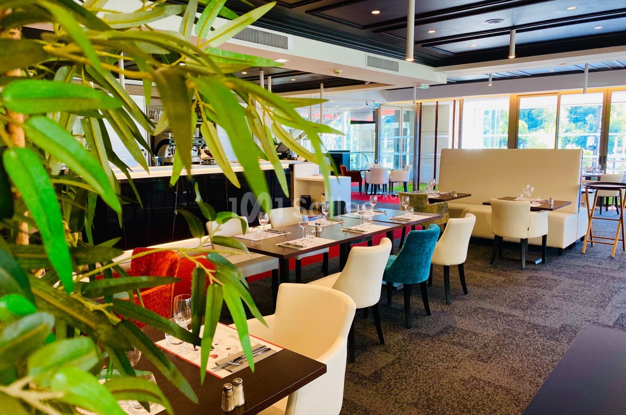 Salle de restaurant lumineuse avec tables dressées, chaises colorées et plantes décoratives au premier plan.