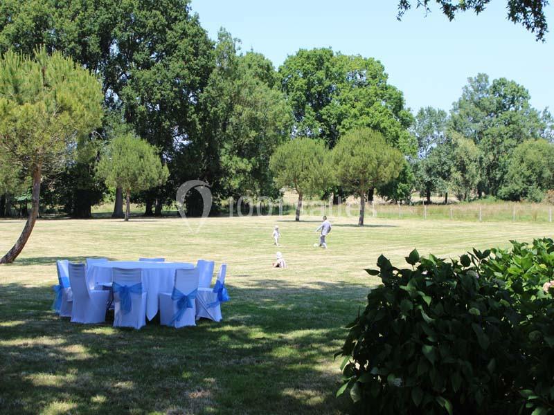 Château De La Rousselière - galerie - photo 12