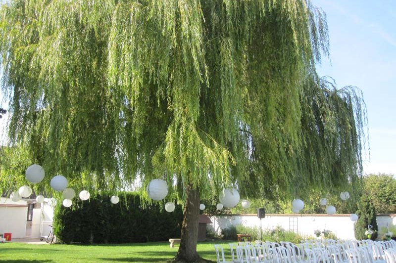 La Grange Du Tertre - photo 3