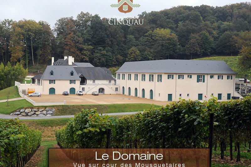 Domaine du Cinquau - photo 4