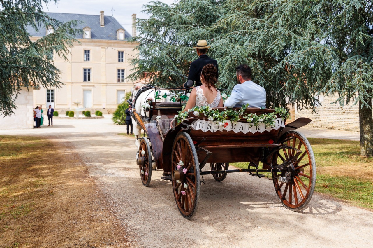 Un couple en calèche décorée de fleurs arrive devant un bâtiment élégant, observé par quelques invités.