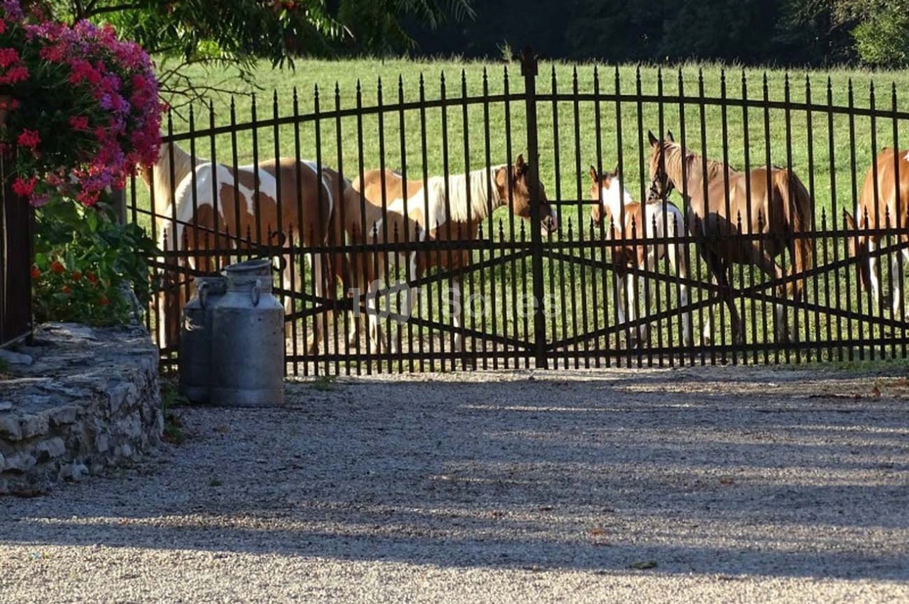 Domaine de La Ferme de Montin - galerie - photo 11