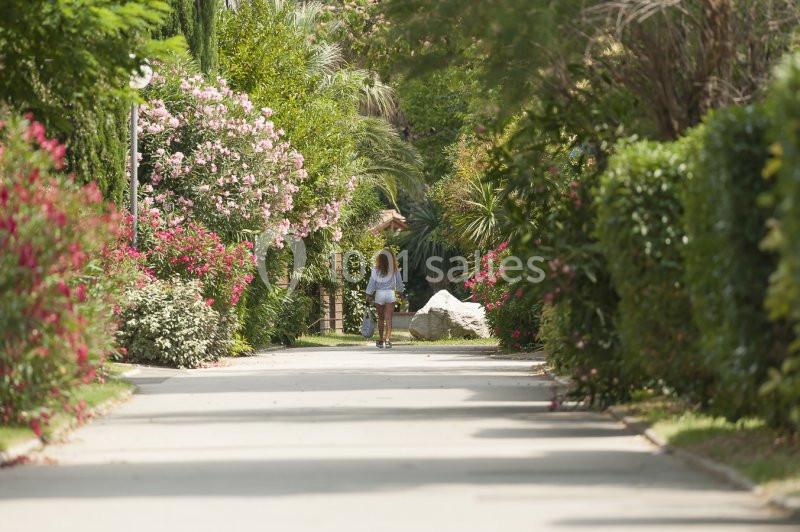 Une femme marche seule sur une allée bordée d'arbustes et de fleurs dans un jardin verdoyant.