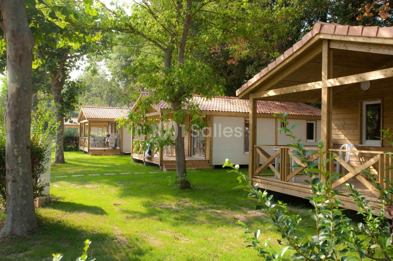 Chalets en bois alignés dans un cadre verdoyant avec arbres et pelouse, sous une lumière naturelle.
