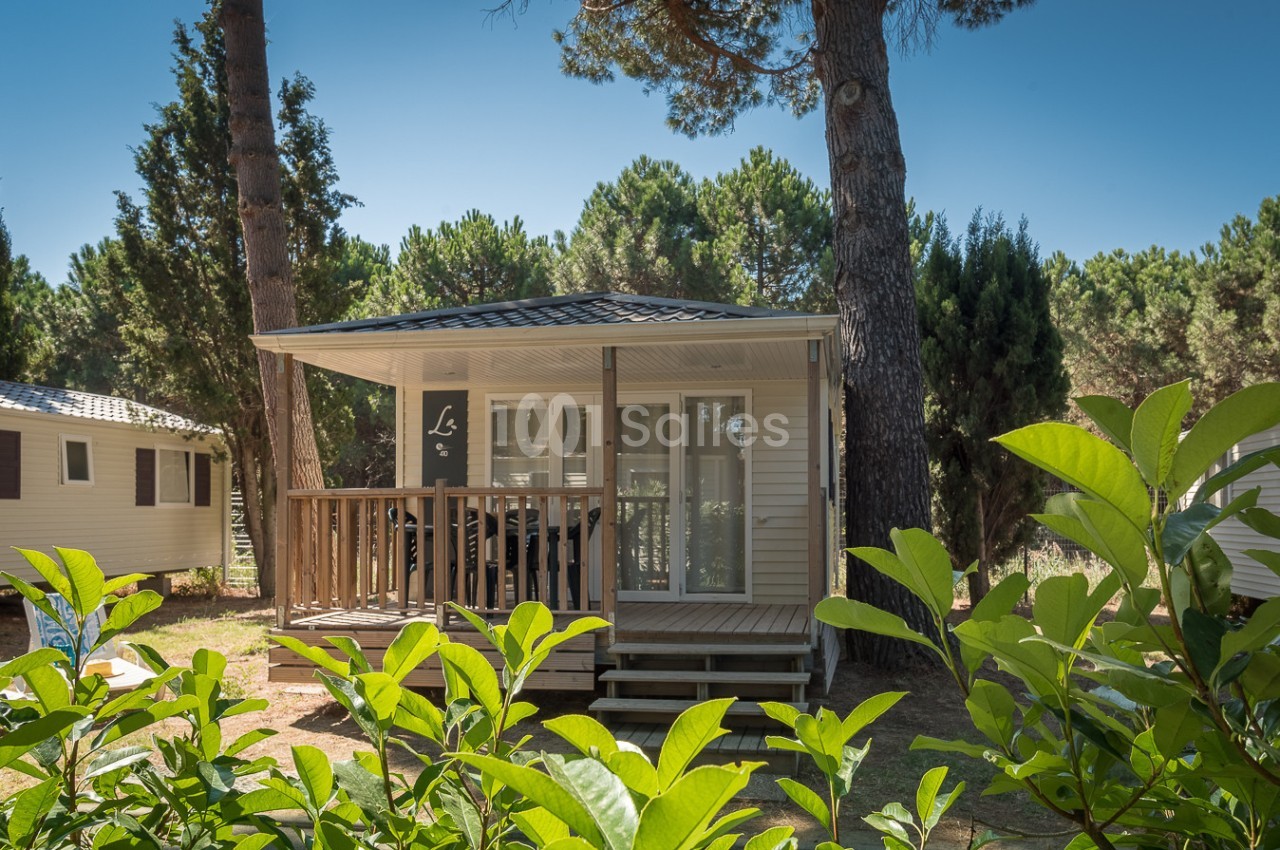 Mobil-home en bois avec terrasse, entouré de végétation et d'arbres, sous un ciel bleu clair.