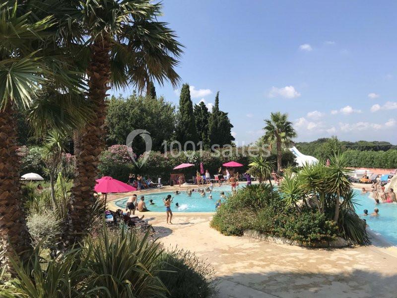 Piscine extérieure entourée de palmiers et de végétation, avec des baigneurs et des parasols colorés sous un ciel bleu.