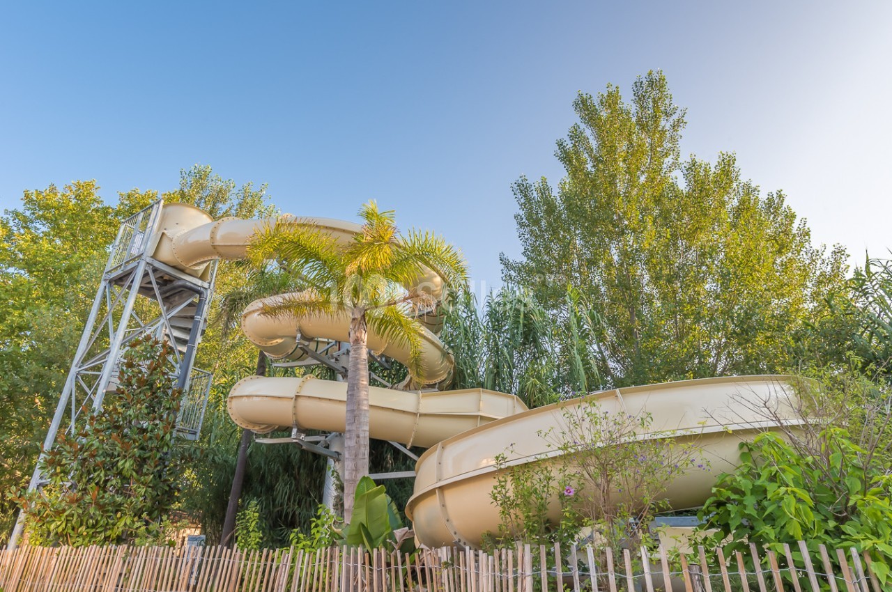 Toboggan aquatique sinueux entouré de végétation et de palmiers, sous un ciel dégagé.