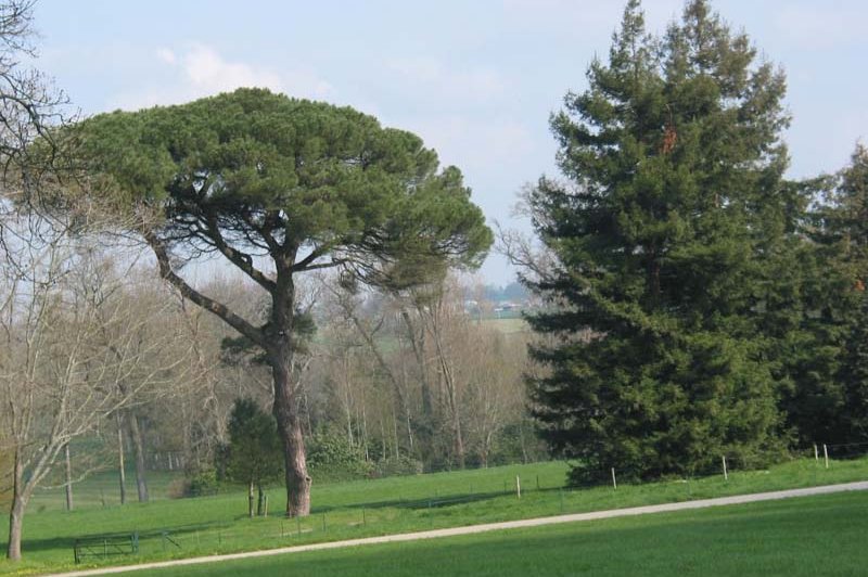 Le Château De Craon - photo 2