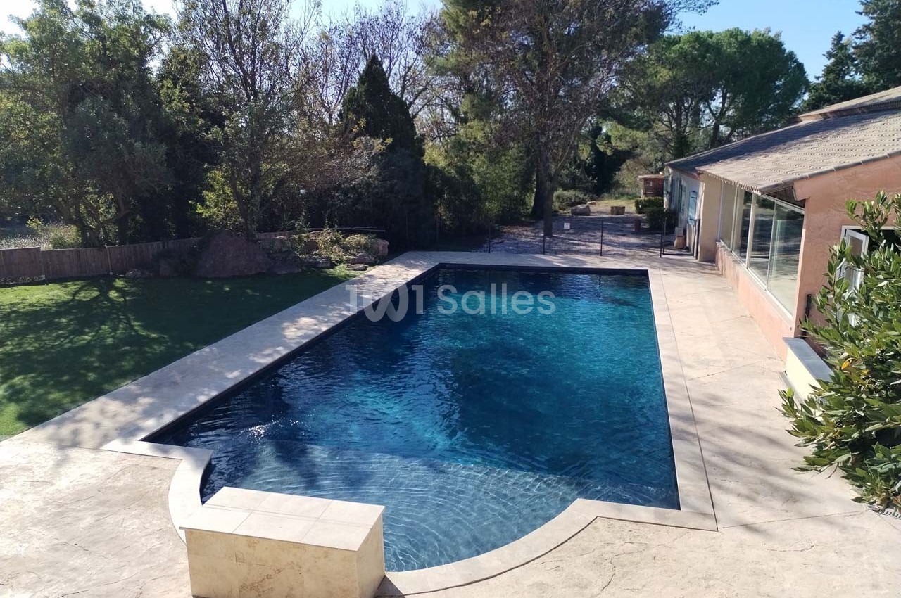 Piscine extérieure rectangulaire entourée de végétation et d'une terrasse en pierre, près d'une maison.