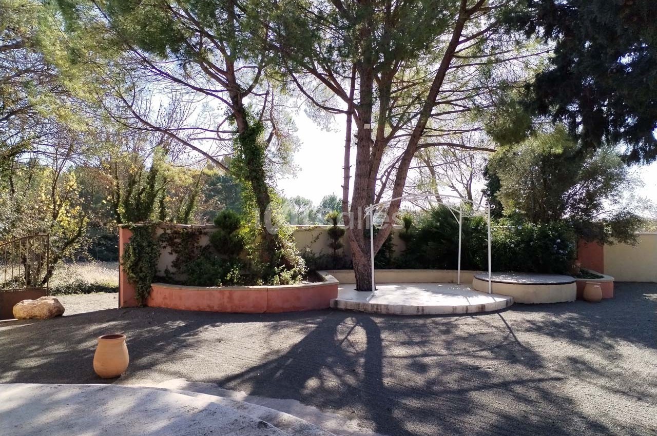 Cour extérieure avec arbres, muret en pierre, sol gravillonné et pot en terre cuite sous un ciel dégagé.