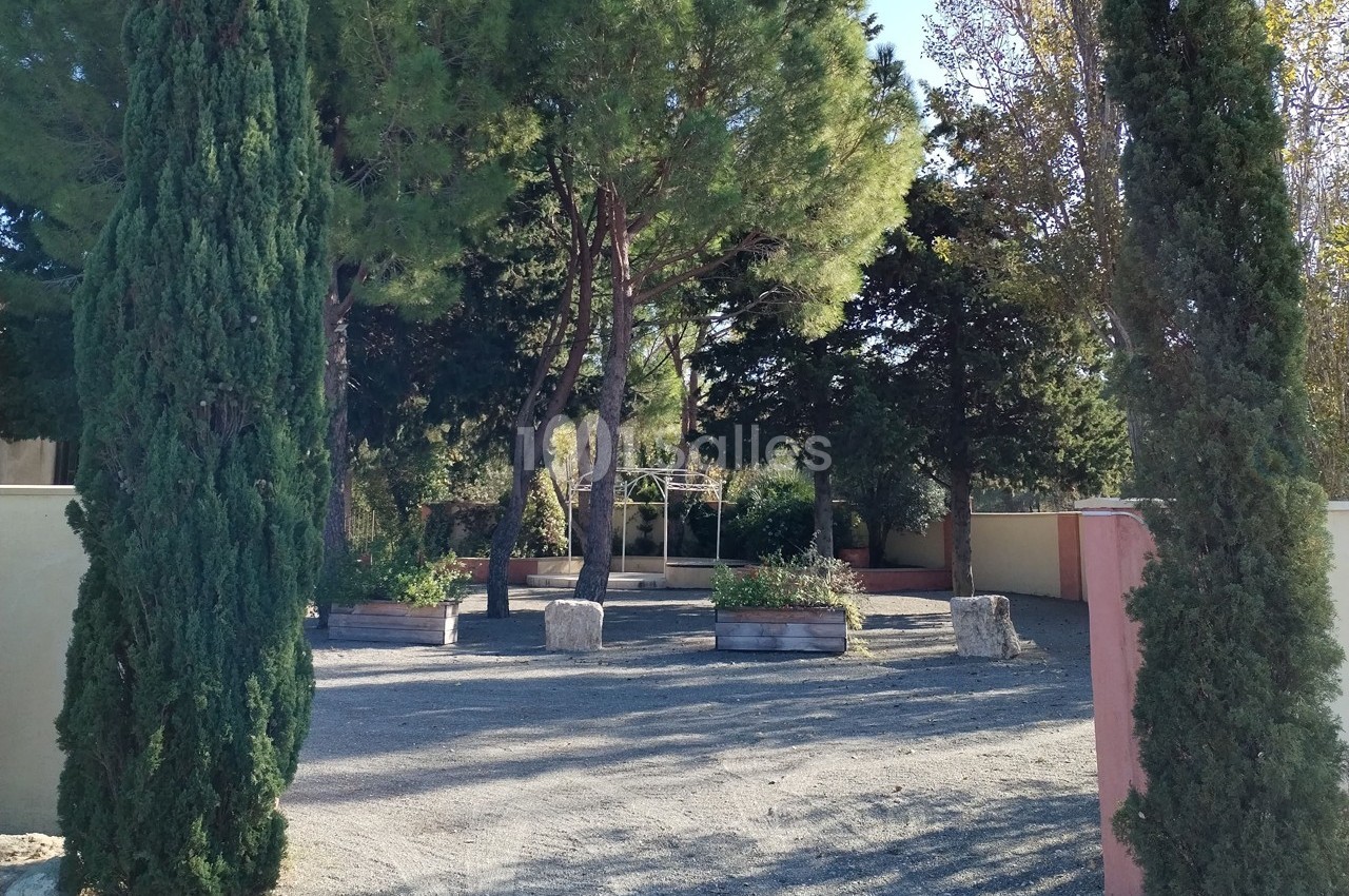 Allée bordée de cyprès et de pins avec des jardinières en bois, dans un espace extérieur ensoleillé.