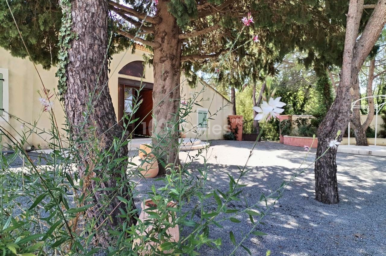 Vue d'une cour ombragée avec des arbres, des plantes fleuries et une façade beige en arrière-plan.