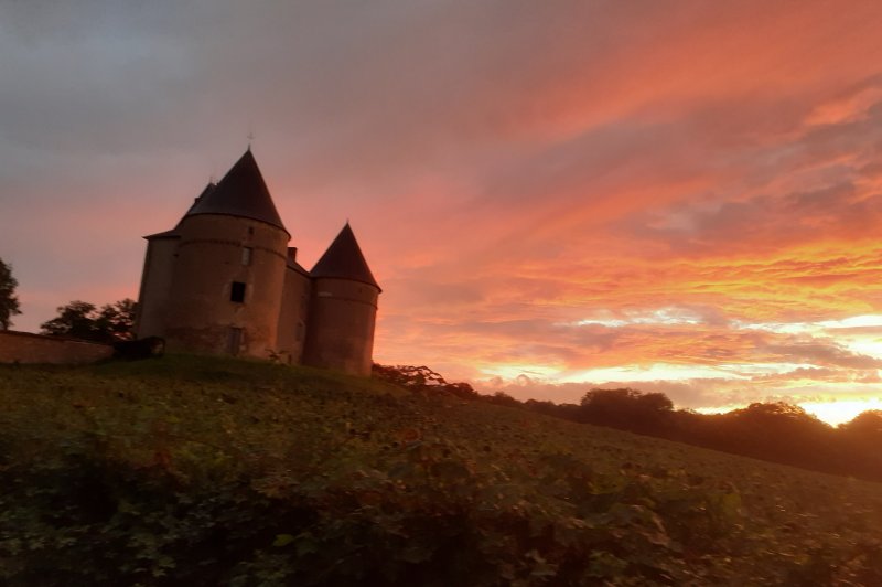 Château de Brie - photo 1