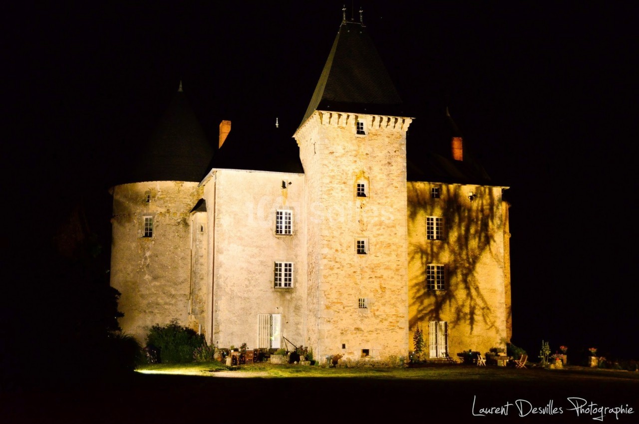 Château ancien éclairé de nuit, avec des ombres d'arbres projetées sur la façade en pierre.