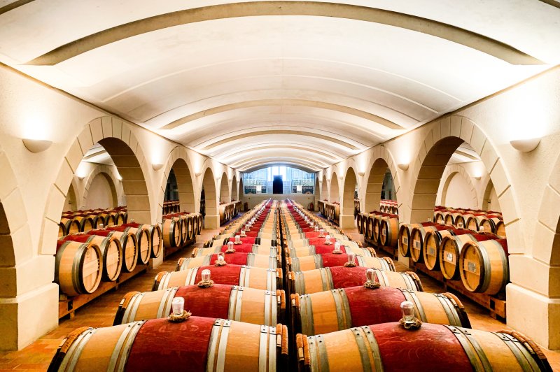 Château Haut Chaigneau - photo 3