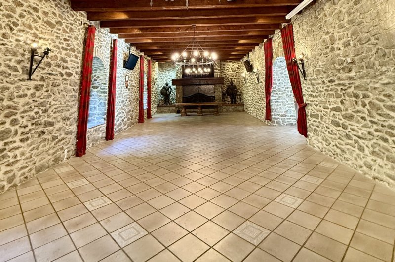 Château de Feissons - photo 4