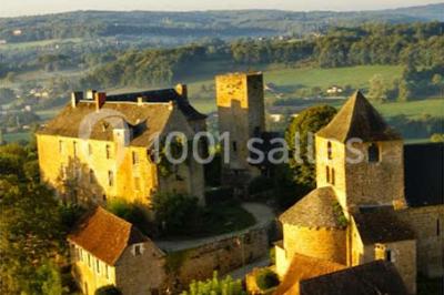 Château De Cavagnac - photo 3