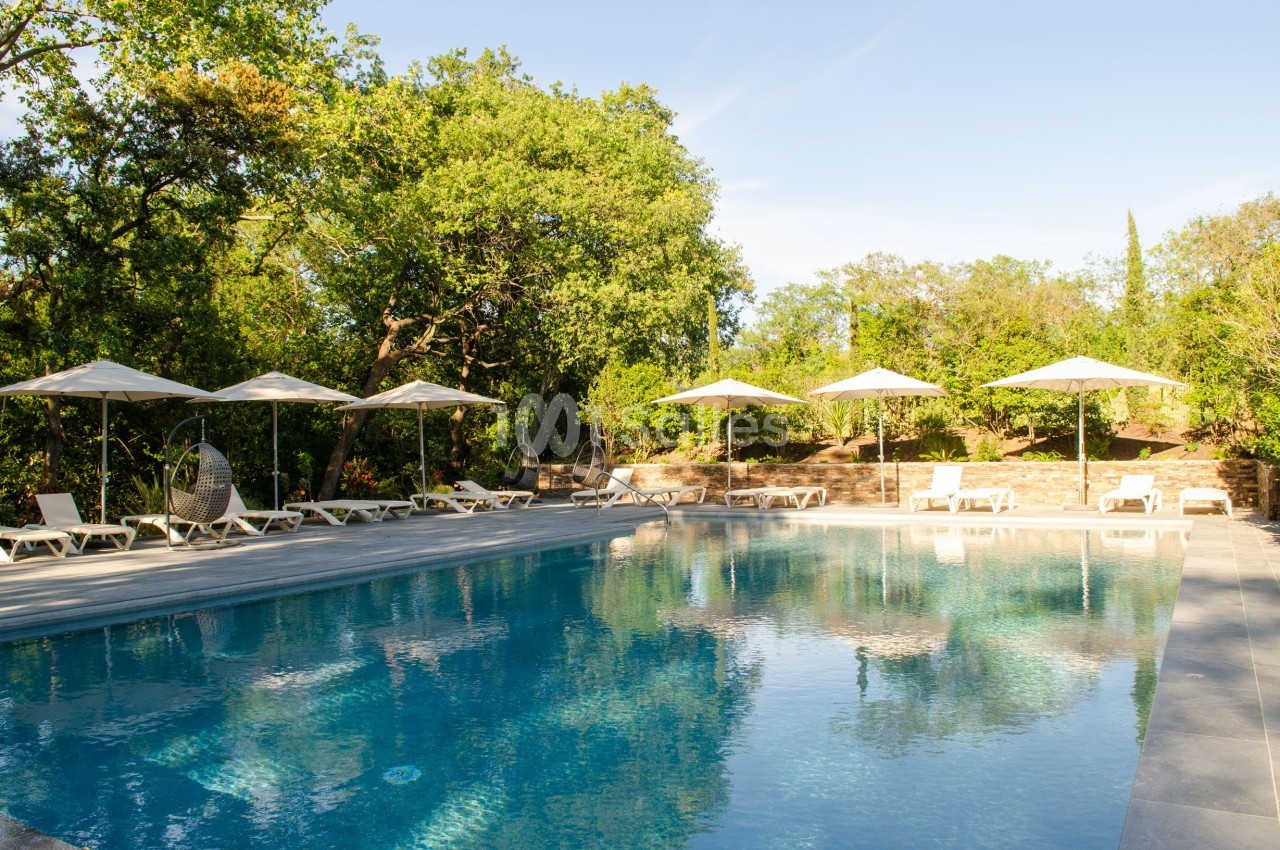 Piscine extérieure entourée de chaises longues, parasols et végétation luxuriante sous un ciel dégagé.