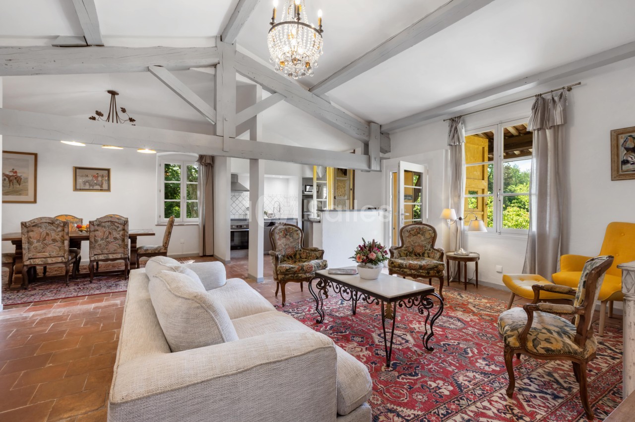 Salon lumineux avec poutres apparentes, meubles anciens, tapis rouge et vue sur une cuisine ouverte et un jardin.