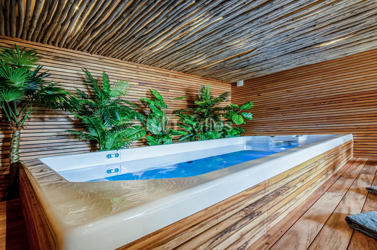 Bain à remous rectangulaire entouré de plantes tropicales et de bois, dans un espace intérieur chaleureux.