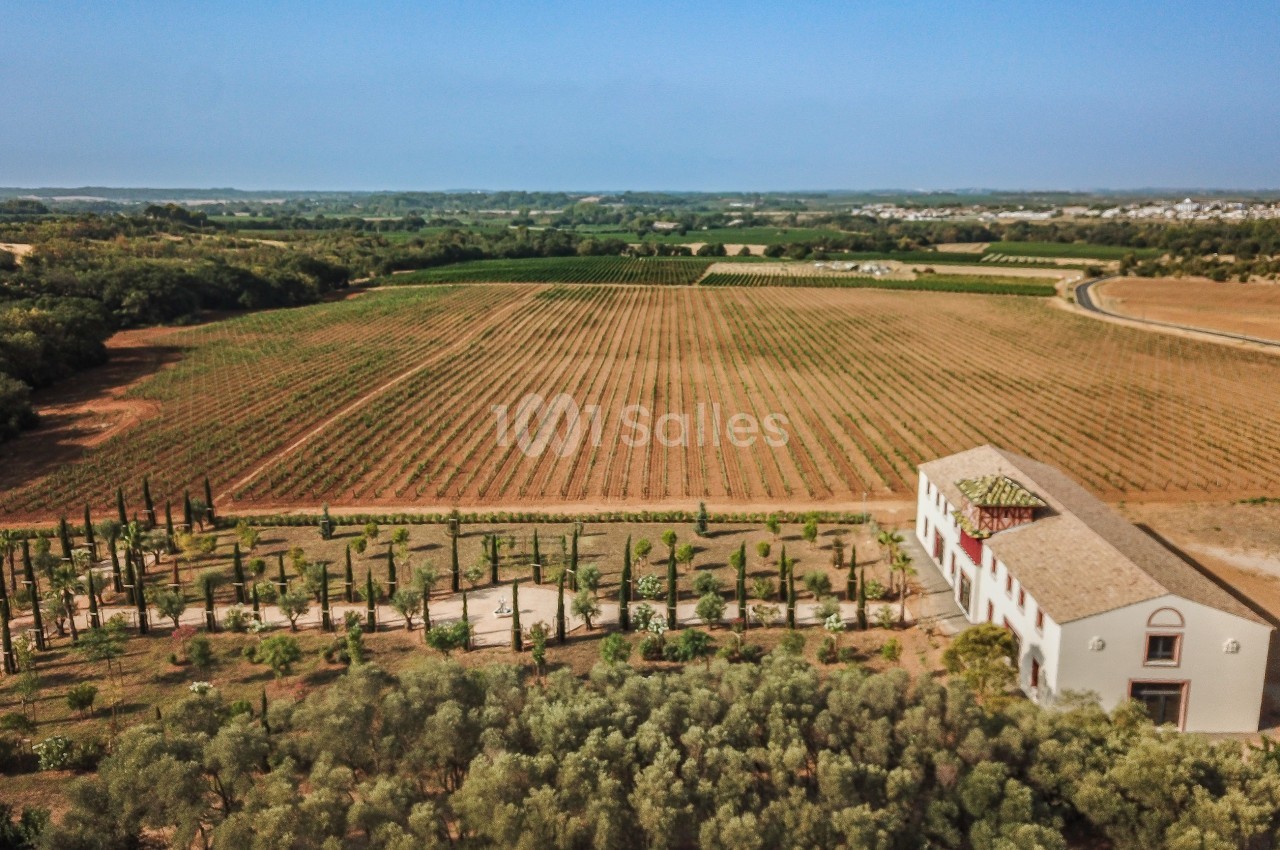 Vue aérienne d'un vignoble avec une maison en pierre entourée d'arbres et des champs à perte de vue.