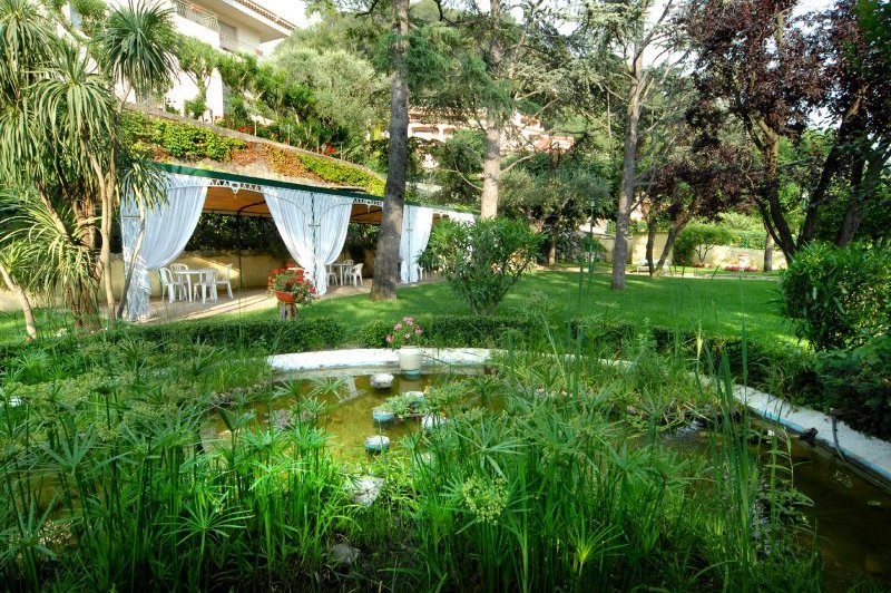 Servella Restaurant - photo 4
