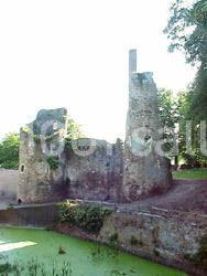 Château de Turmelière - galerie - photo 5