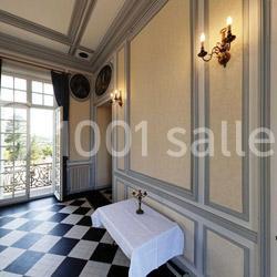 Château de Turmelière - photo 2