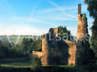 Château de Turmelière - photo 3