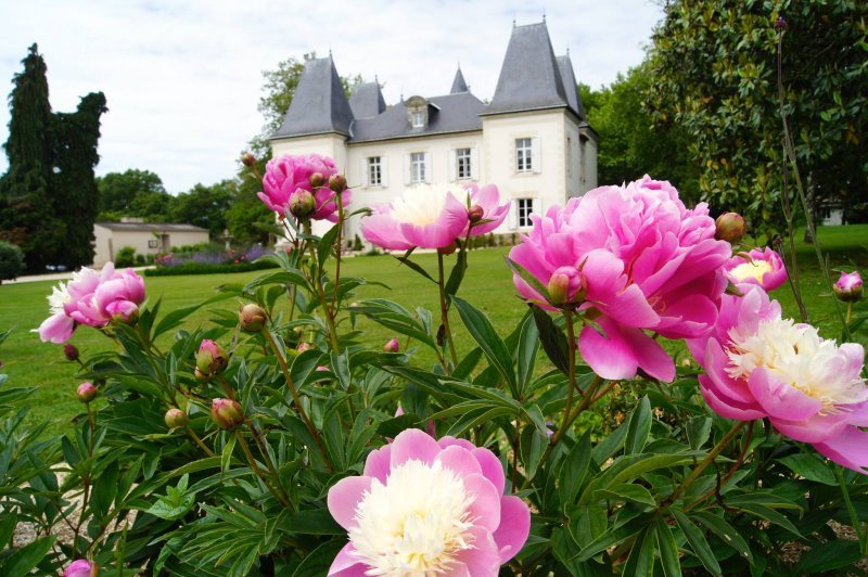 Domaine de la Pinelais - photo 5