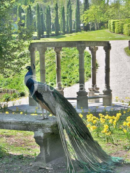 Le Potager des Princes - galerie - photo 17