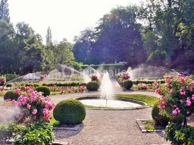Le Potager des Princes - galerie - photo 19