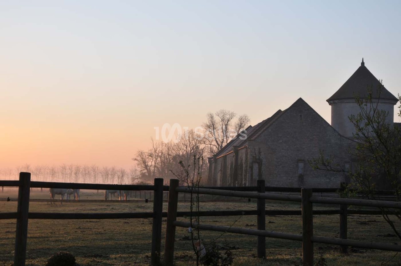 Vue d'un bâtiment en pierre avec une tour, entouré de champs et de chevaux au lever du soleil.