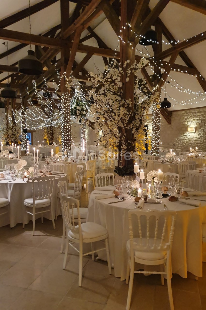 Salle de réception décorée pour un mariage, avec tables dressées, guirlandes lumineuses et arbres fleuris.