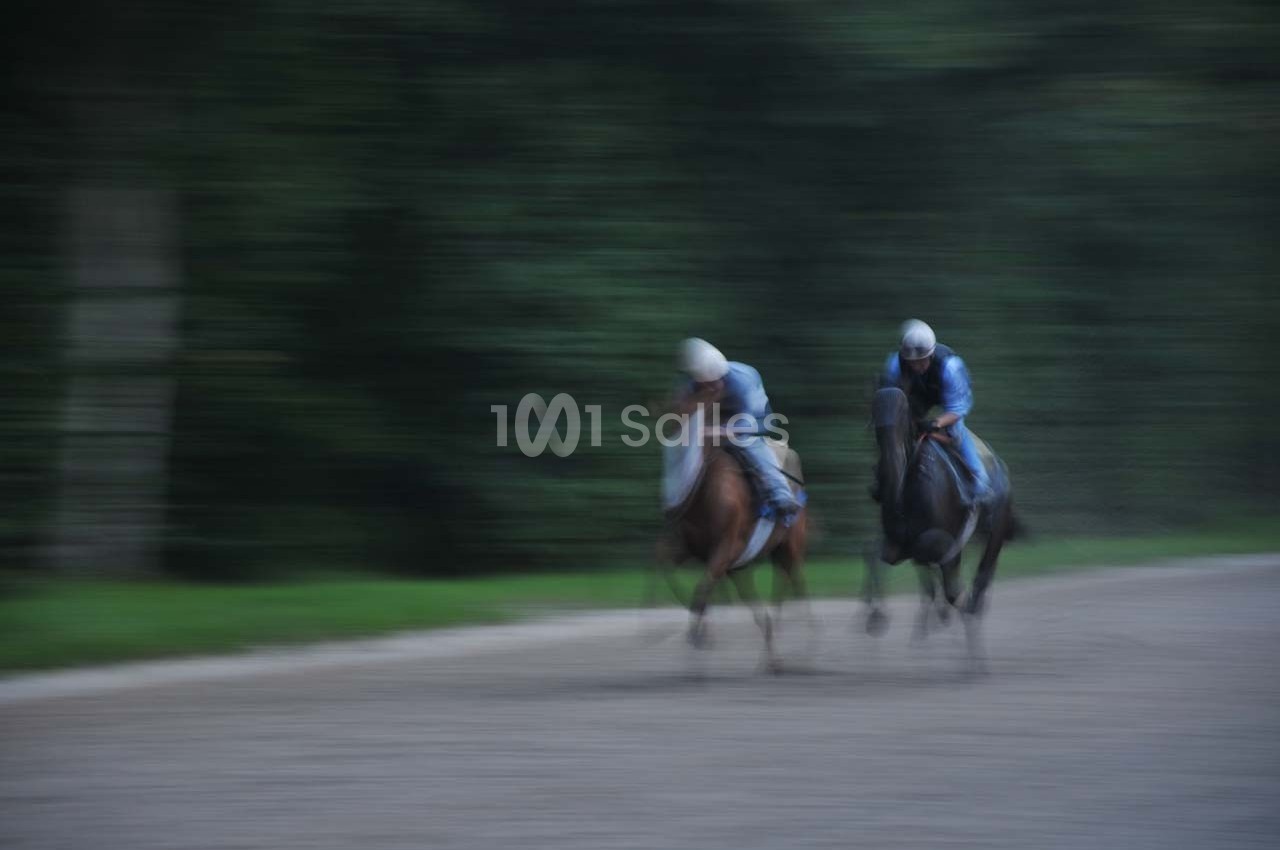 Deux cavaliers en tenue bleue montent des chevaux au galop sur une piste floue, entourée de verdure.