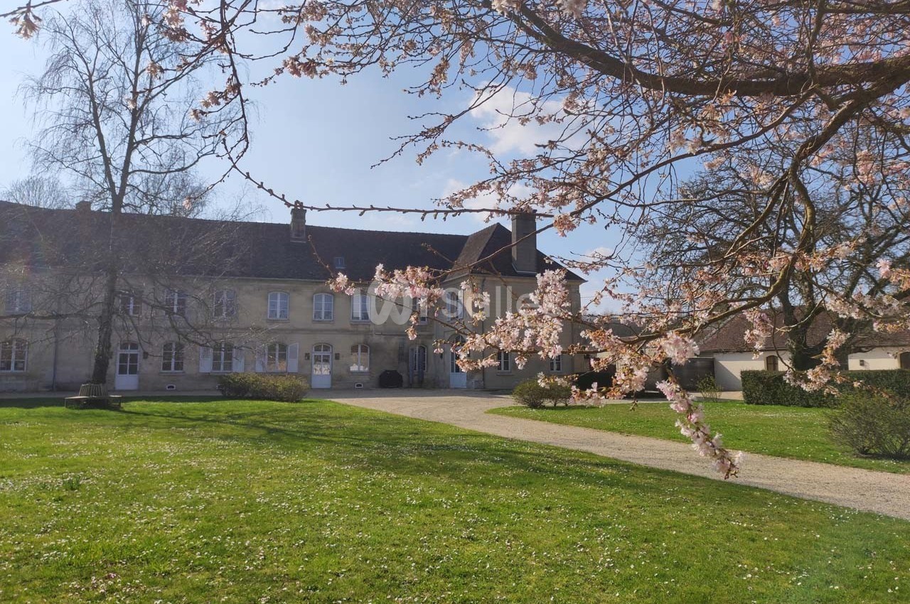 Branche d'arbre en fleurs devant un bâtiment ancien en pierre, entouré d'une pelouse et d'arbres.