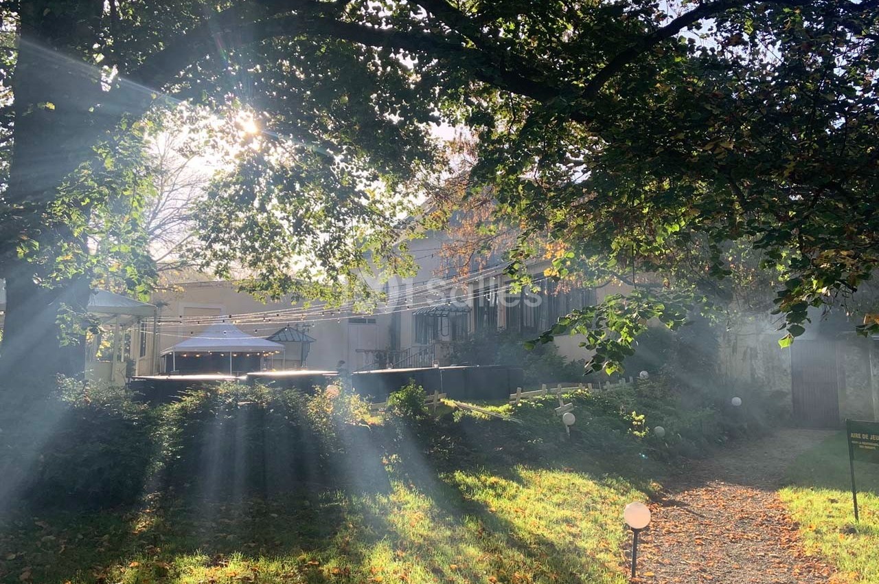 Lumière du soleil traversant les arbres, illuminant un jardin avec des bâtiments en arrière-plan.