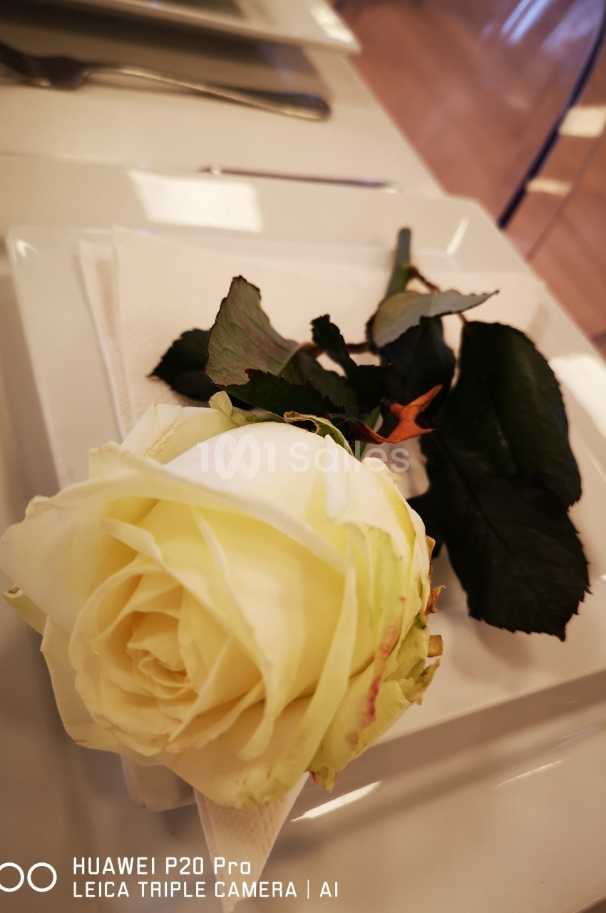 Les Salons Emirates - galerie - photo 9